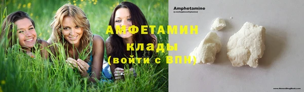 ПСИЛОЦИБИНОВЫЕ ГРИБЫ Арсеньев
