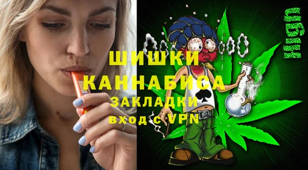 ПСИЛОЦИБИНОВЫЕ ГРИБЫ Арсеньев