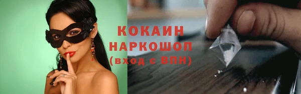 ПСИЛОЦИБИНОВЫЕ ГРИБЫ Арсеньев
