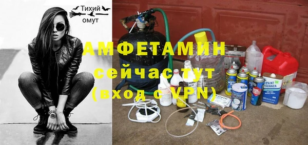ПСИЛОЦИБИНОВЫЕ ГРИБЫ Арсеньев