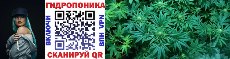 Шишки марихуана тримм Цивильск